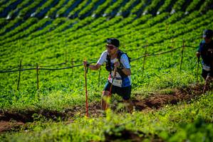 BIB: 6702, 
                            <button type="button" onclick="openModal(19160609)" class="btn btn-primary btn-sm float-right btn-popup" data-toggle="modal" data-target=".modal-high-quality">
                        <i class="fas fa-shopping-cart"></i> Add to Cart
                    </button>
                                            <button type="button" onclick="isThisMe(19160609, true)" class="btn btn-success btn-sm float-right btn-popup btn-isme hidden" data-toggle="tooltip" data-placement="bottom" title="นี่คือรูปของคุณใช่ไหม คลิกที่นี่เพื่อเอาเข้าอัลบั้ม">
                        <i class="fas fa-plus"></i> Add to album
                    </button>
                    <button type="button" onclick="isThisMe(19160609, false)" class="btn btn-warning btn-sm float-right btn-popup btn-isnotme hidden">
                        <i class="fas fa-ban"></i> Remove from album
                    </button>